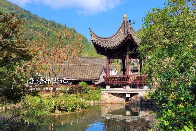 浙江宁波的又一个柿林山村，免费开放但是景色很美，游玩正当时