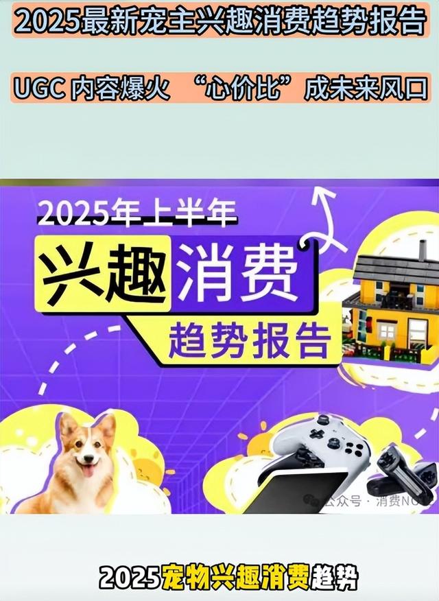 市场规模破8114亿！AI 萌宠热度暴涨，博主月入 50 万，盈利方式炸裂