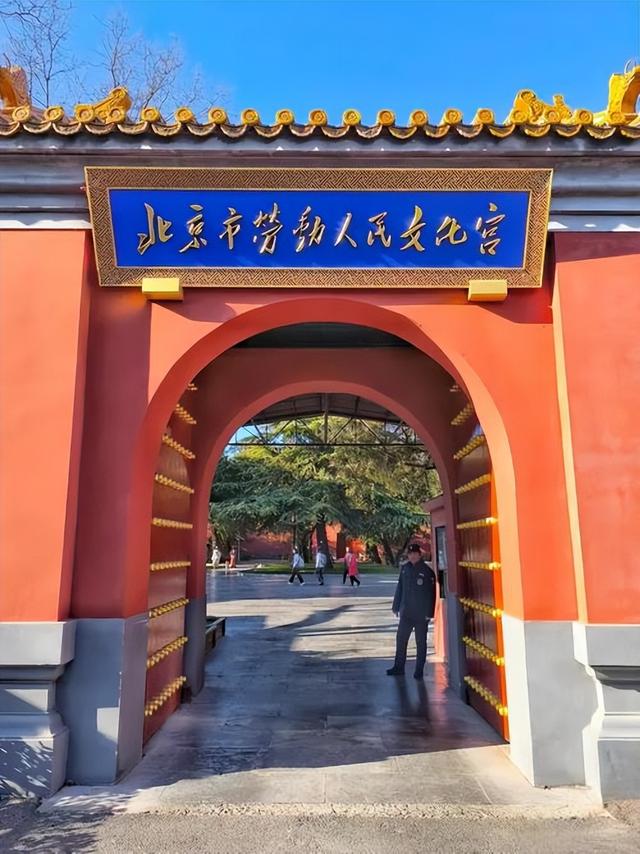 冒雪送别聂卫平！是陈老总改变了他的围棋人生