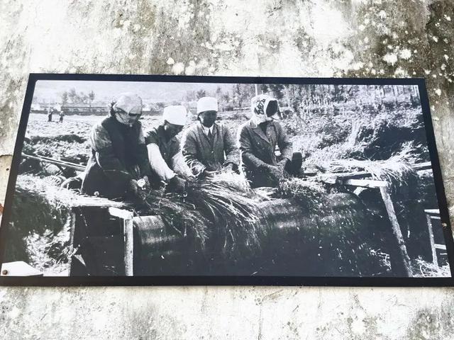 实地探访“江苏美丽乡村”、丹阳访仙镇草塘村漂亮的乡村环境
