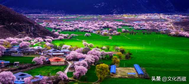 一文掌握西藏旅行！全景资源地图出炉，玩出新高度！