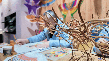 “鸥遇！鸥遇！”海鸥季潍坊启航派对，优惠惊喜等你来逛~