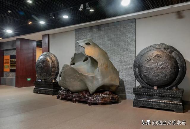 【乐享烟台】烟台自然博物馆:“五美融育”绘就“仙境海岸·最美博馆”