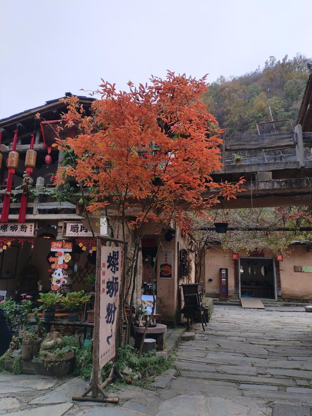 秦岭之秋：一场与山水的温柔邂逅