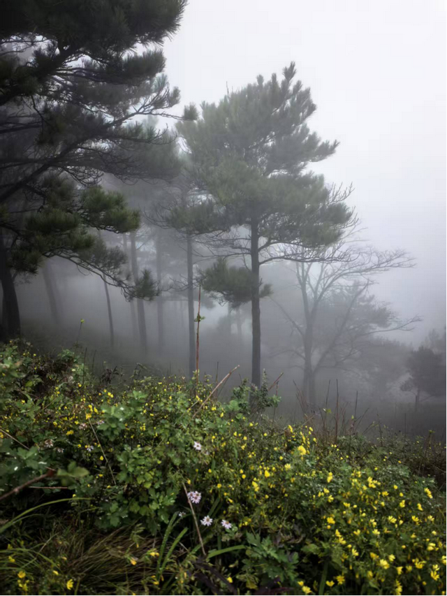 驴行信记：再攀“磨山顶”