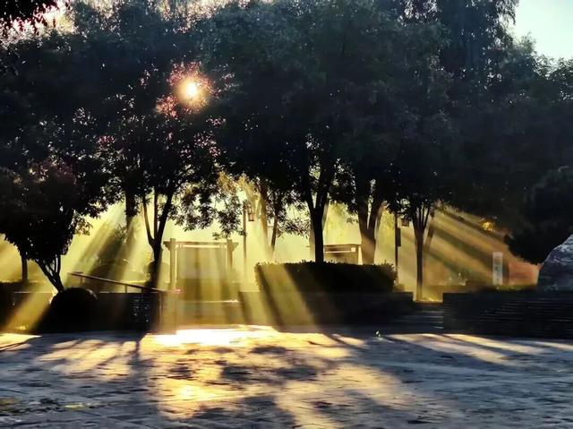 这个季节总要去趟正定，去邂逅那迷人的古建红和金秋黄！