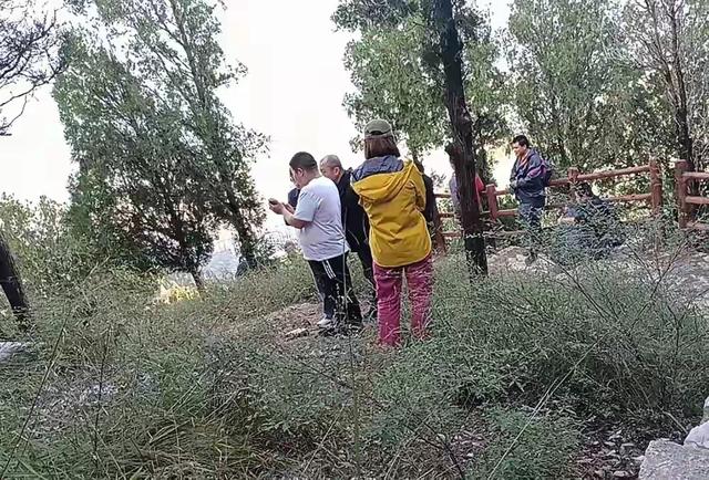 苏阳阳找到了！人摔下山崖，已确认死亡，母亲在现场哭得撕心裂肺