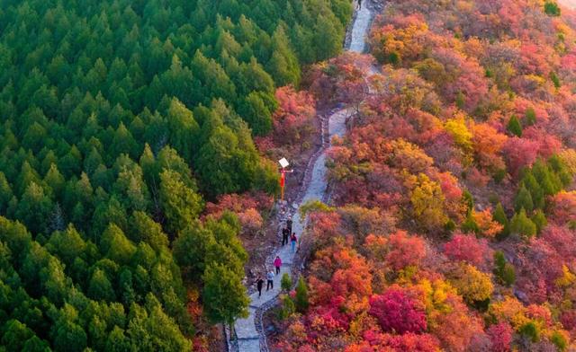 新华社聚焦+国家地理推荐！济南蝎子山“鸳鸯锅”秋景太惊艳了！
