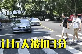 “礼让行人”即将被取消？专家提出建议，车主：这一次我支持专家图片