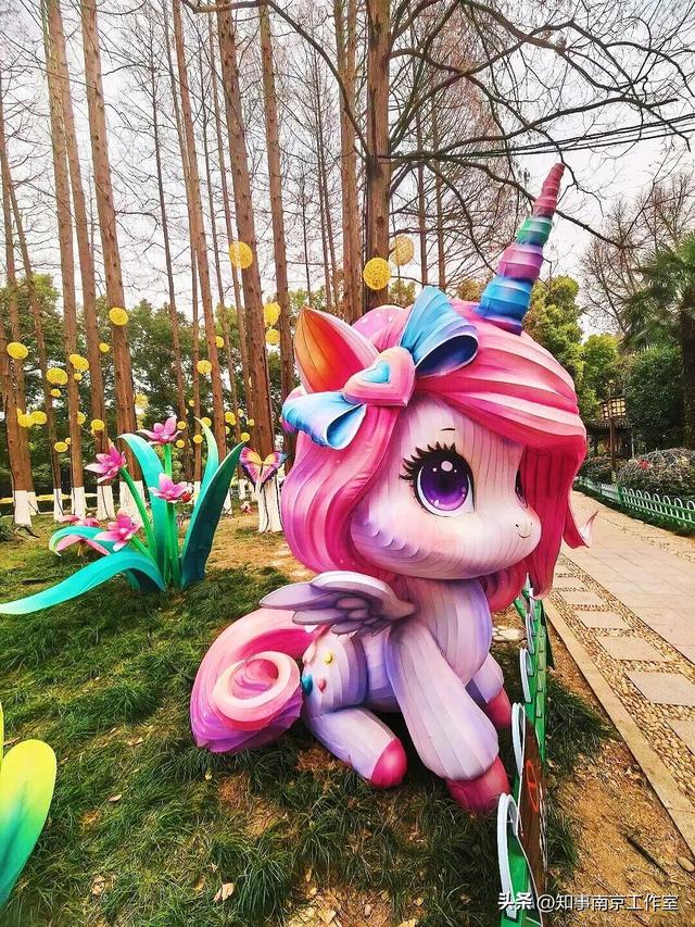 当整个南京都在追光，我在白鹭洲等一场灯与影的相逢