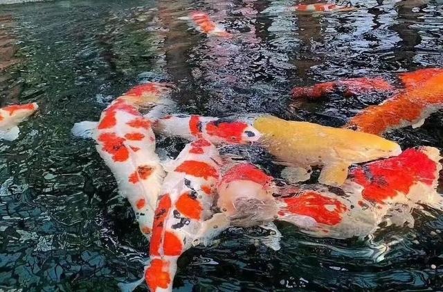 假期最后 当然是来这里啊！！