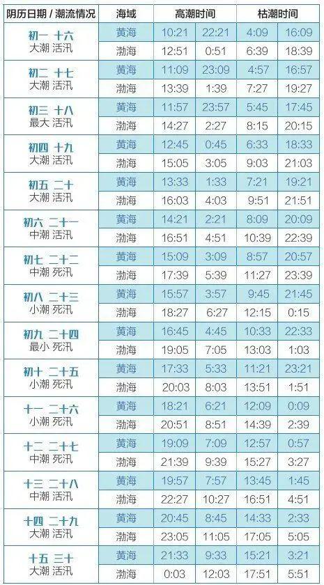 走啊！去赶海，去喂海鸥！