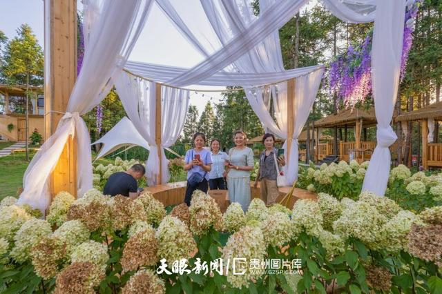 G视觉｜贵州夏日“热”力全开，避暑旅游火出圈