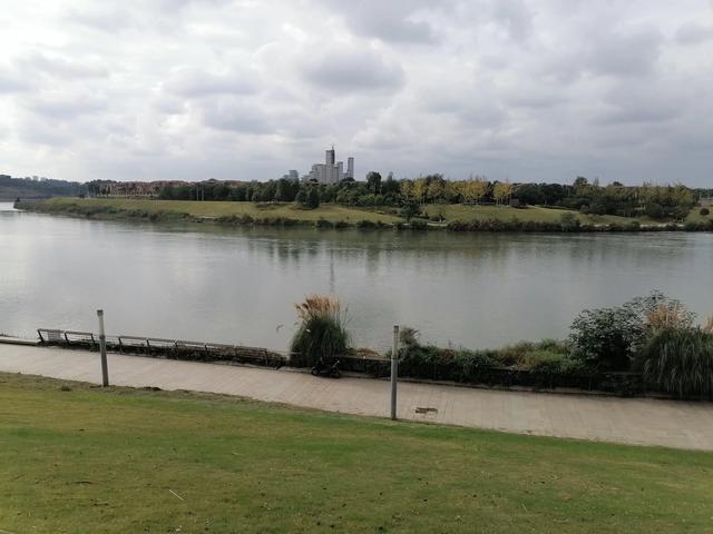 双流／华阳／仁寿苏码头历史资料