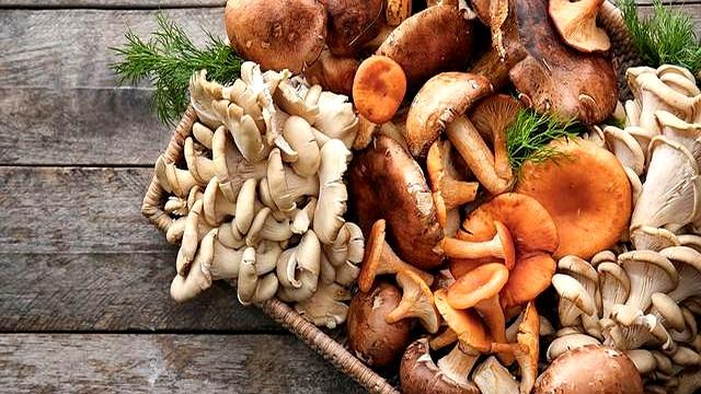 新一轮甲流高峰，钟南山建议：少吃羊肉，多吃6样增强免疫！