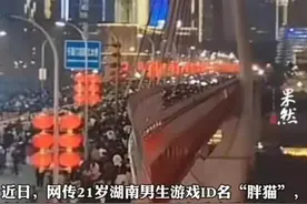 印象中"胖猫"应该很胖很油腻，结果不但不胖，还很帅的……这么图片