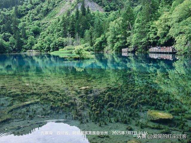 我的旅行日记——重游九寨沟