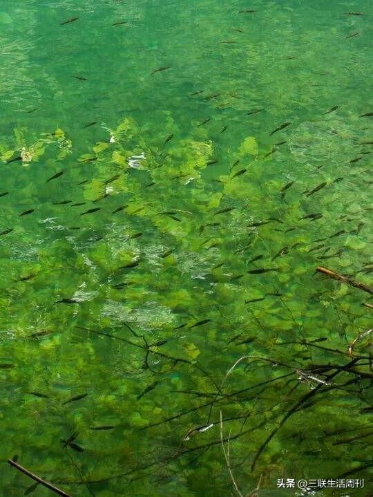 与三联同行，行走黄山不止于“雾凇限定”