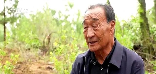 西方媒体：中国不可怕，可怕的是中国成为首个“消灭”沙漠的国家
