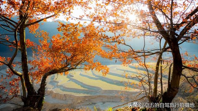 2025塔川红叶季指南：从臭鳜鱼到脱口秀，古村里的N种打开方式