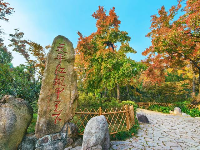 又见天平山：一叶知秋，一枫醉心