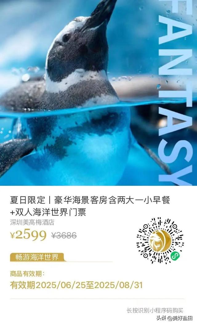 收藏！8月梅沙滨海度假狂欢指南……