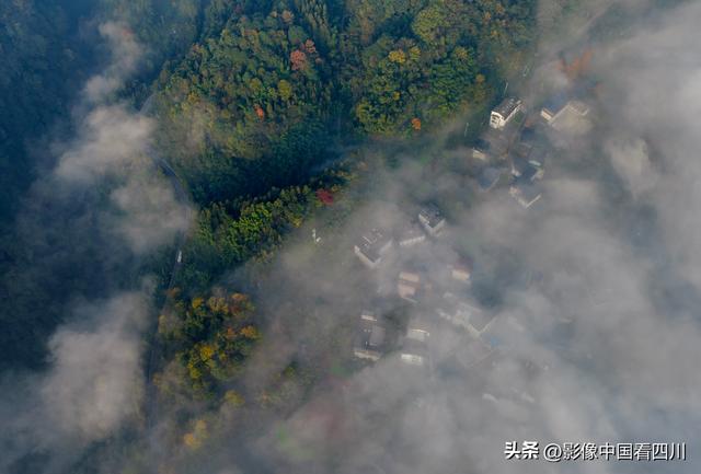 四川雅安：碧峰峡风光旖旎引客来
