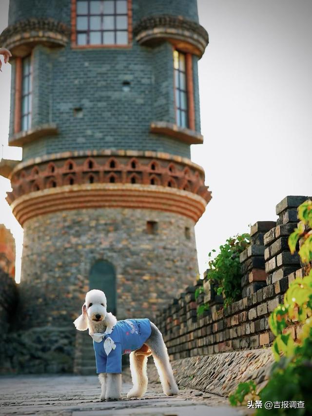 浪漫爆表！吉林这座宝藏古堡很多人还不知道