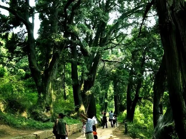 四川这座川北门户小城，是三国迷的理想出游之地