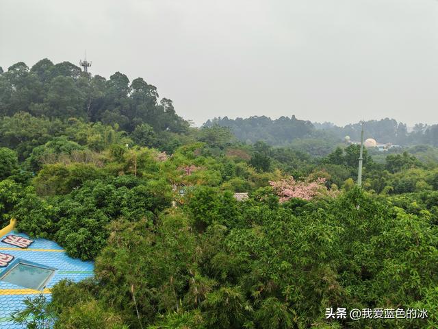 参观广州长隆野生动物园，全程感觉眼累手累腿不累