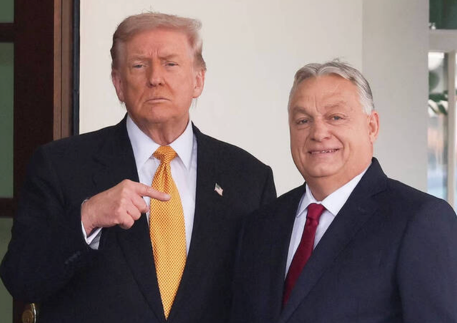 公开介入他国选举，特朗普正在干CIA的工作，目标只是为了帮朋友