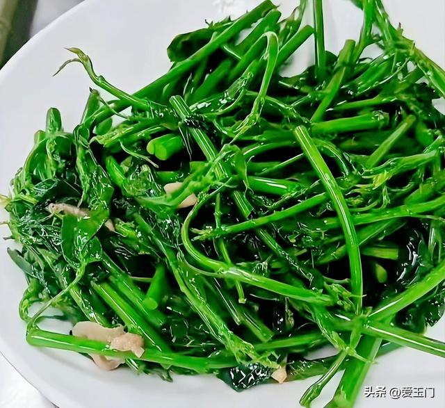 冬至过后使劲吃	，一清肝排毒、二助眠	、三护眼，清新脆嫩，别错过