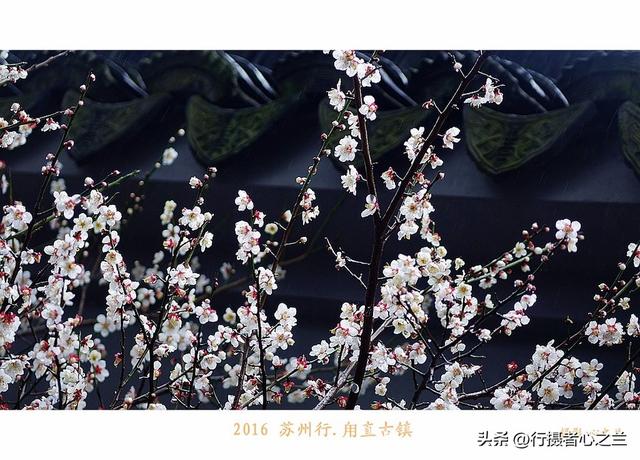 江南古镇行游影记（31）—甪直古镇（六）