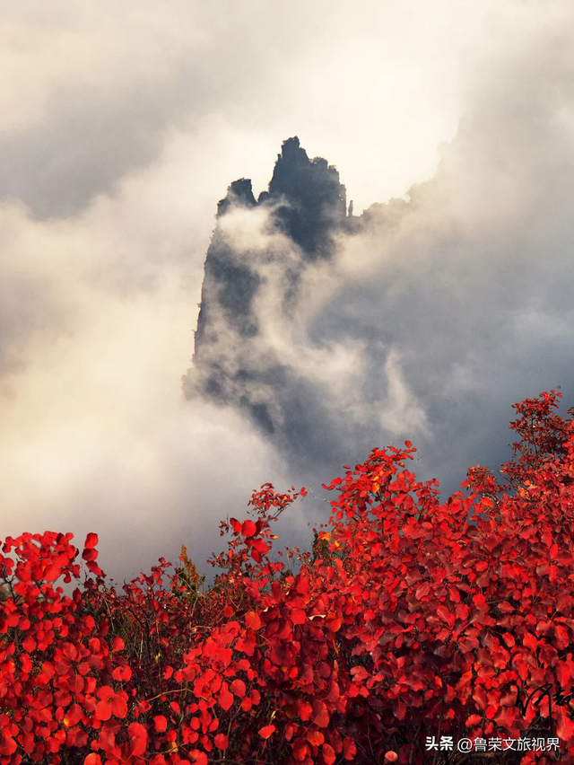 徒步三峡：霜叶漫山处，一步一千年