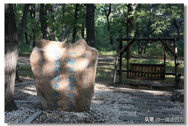 沈阳东陵郊野公园“精灵”出没