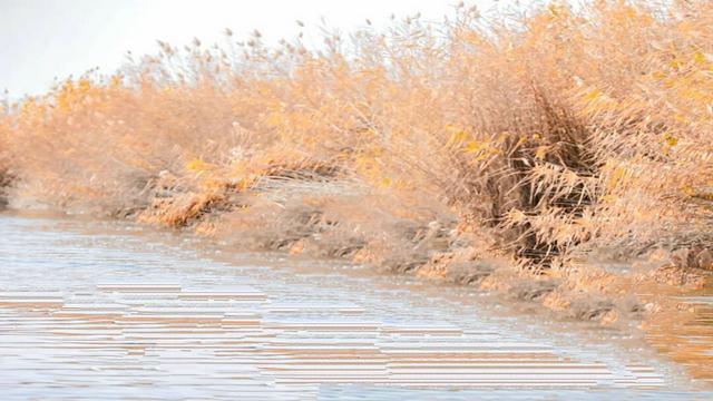 博斯腾湖上的孤独