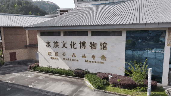 【骑马过端嗨不停】国庆8天冲三都 贵州村马+端节 直接玩出天花板