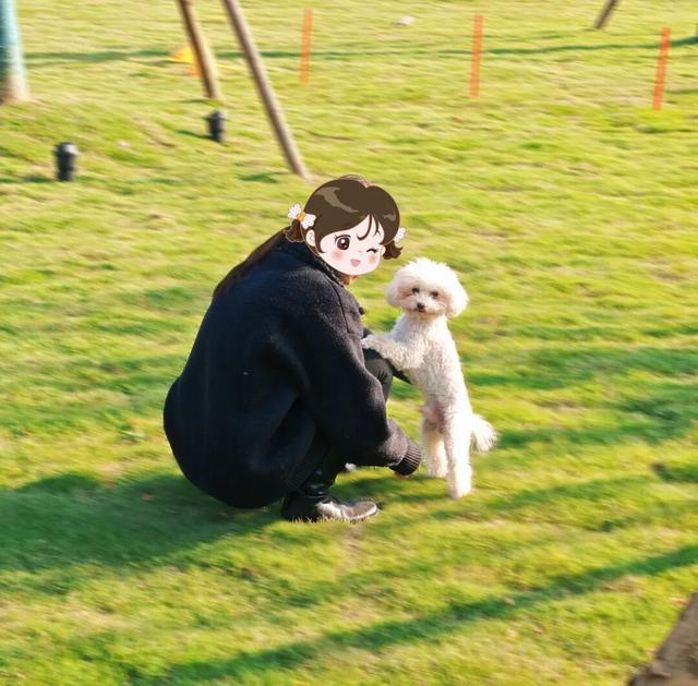 汪汪队！集合！