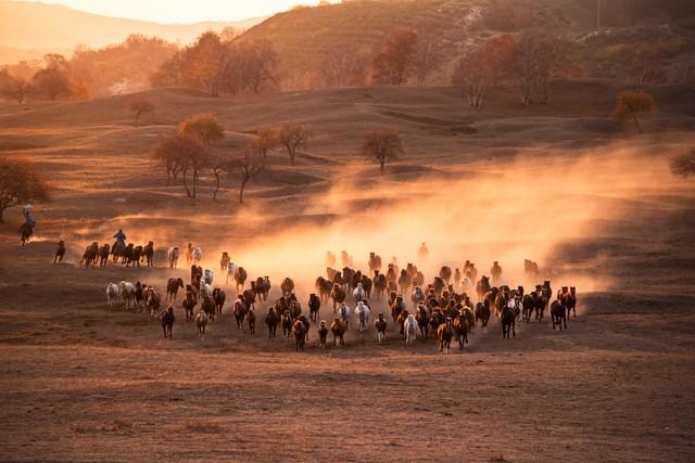不藏了，除了草原，内蒙5个秋色仙境，最后一个颠覆你赏秋眼光！