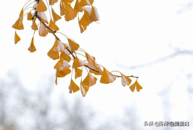 11月7立冬，今年立冬不一般，有2个特点与往年不同，3件事早准备