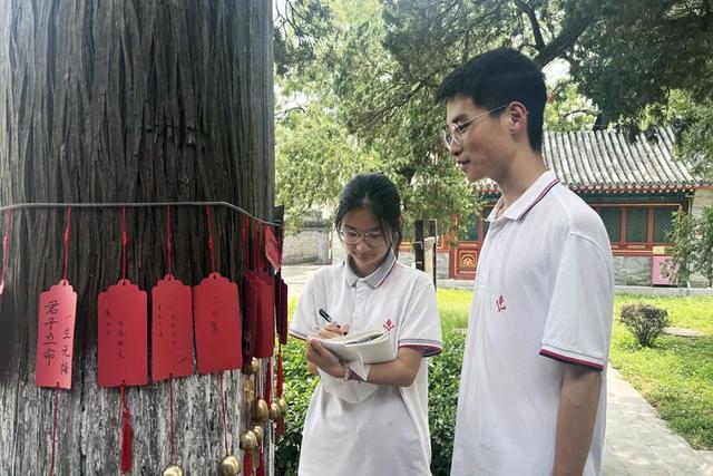 顺义唯一一处古树群，在——