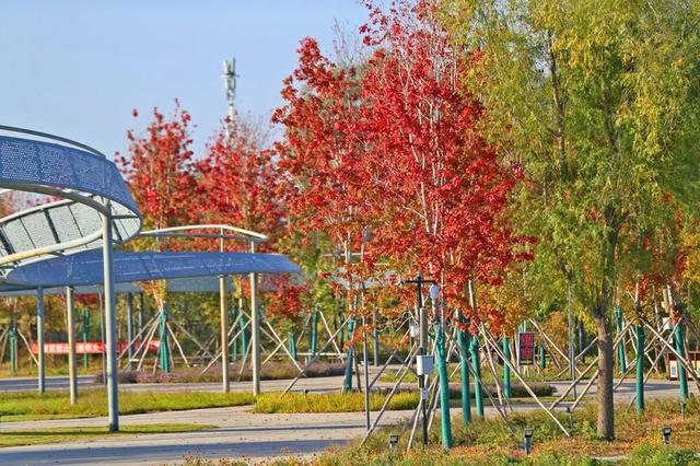 长春北湖公园：湖光秋色两相宜