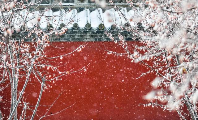 听说初雪，总与想念同来 | 台儿庄的雪已翩跹，你的城市下雪了吗？