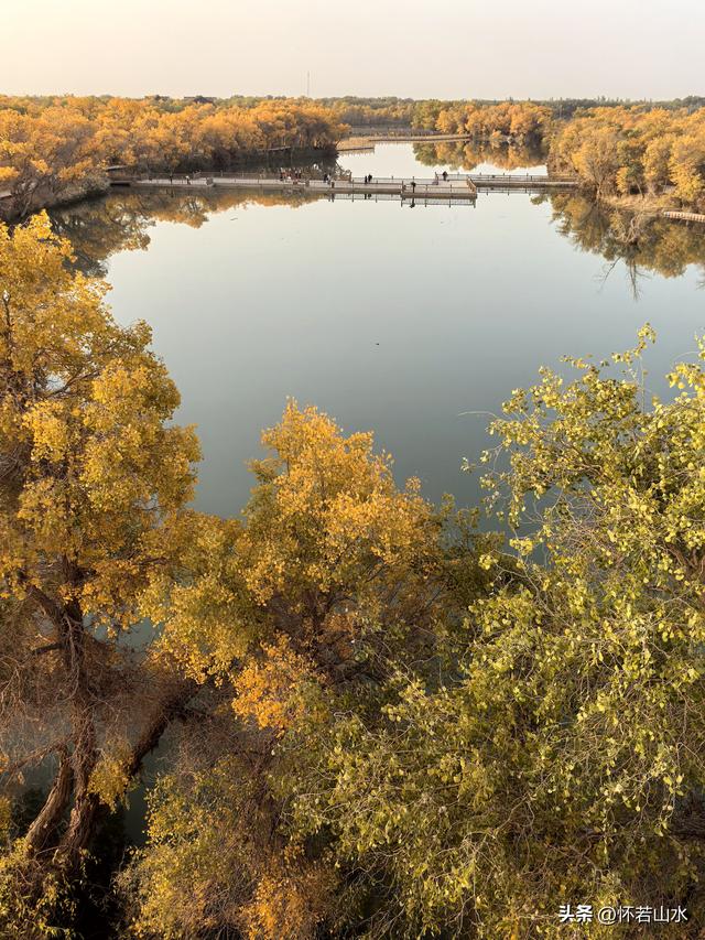 2025环南疆沙漠铁路背包自由行日记(6)---游览巴楚红海胡杨林景区