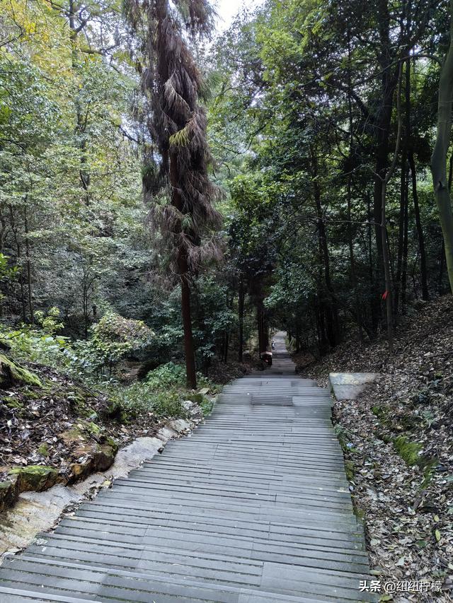 户外徒步之挑战缙云九峰，从健身梯道到狮子峰，走了四小时