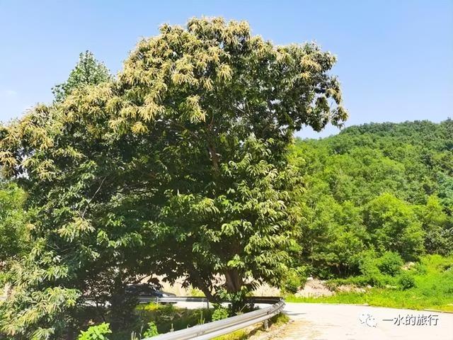 诸城南部珍藏着一条旅游天路，路险景美鲜为人知，自驾路线送给你