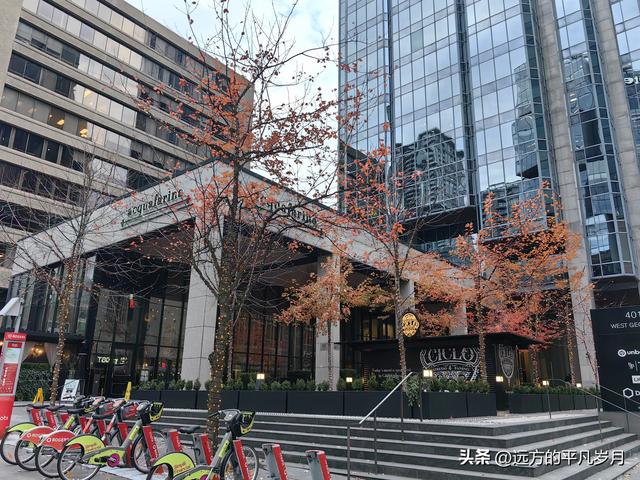 温哥华游记（三）