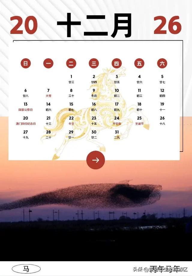 【黄河口生态旅游区】2026新春马年日历来袭啦!