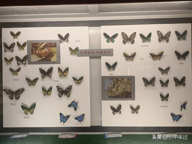 无为在歧路，国庆游淄博2