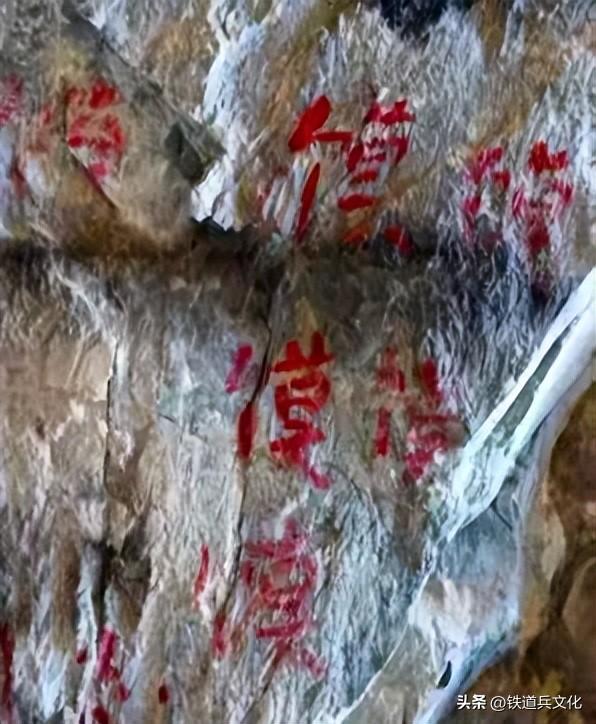 天路上，有人类精神的高地——《“生命禁区”的天路》观后编录
